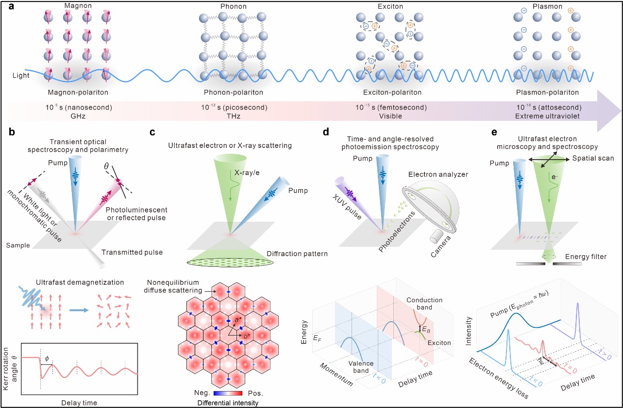 Time-domain study of coupled collective excitations in quantum materials