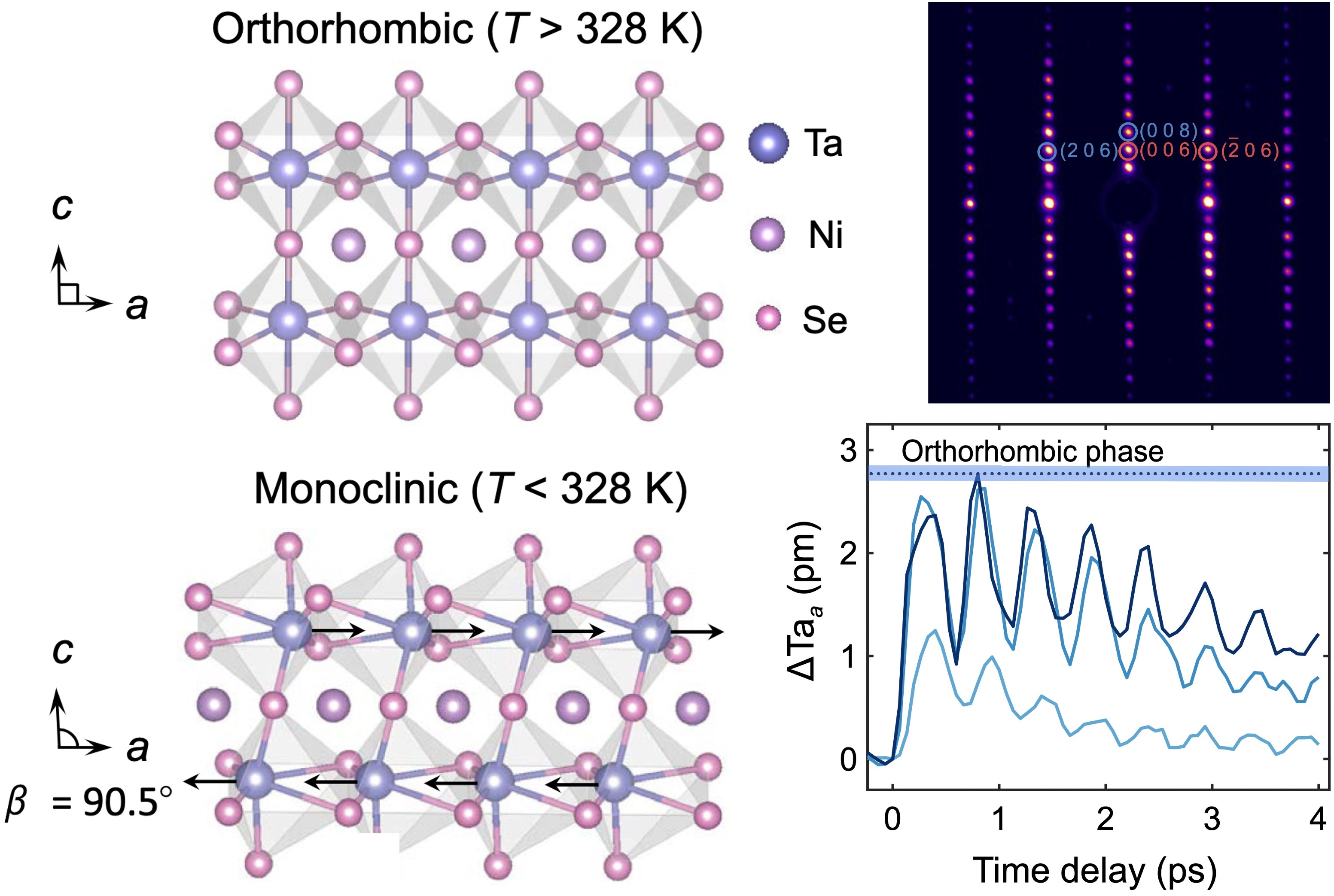 Structural contribution to light-induced gap suppression in TNS